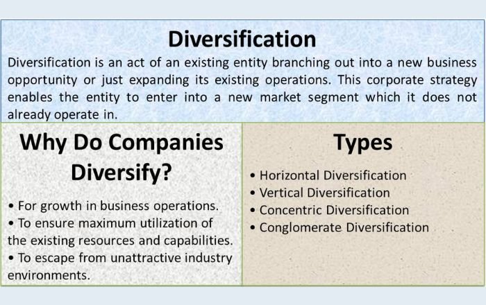 why companies diversify