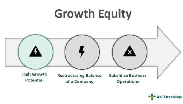 What is Growth equity